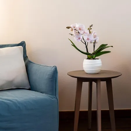 Aura Dimore Ad Bed & Breakfast