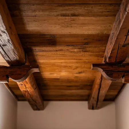 Aura Dimore Ad Arqua Petrarca